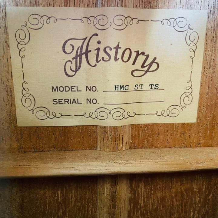 HISTORY ヒストリー アコースティックギター HMG ST TS - メルカリ