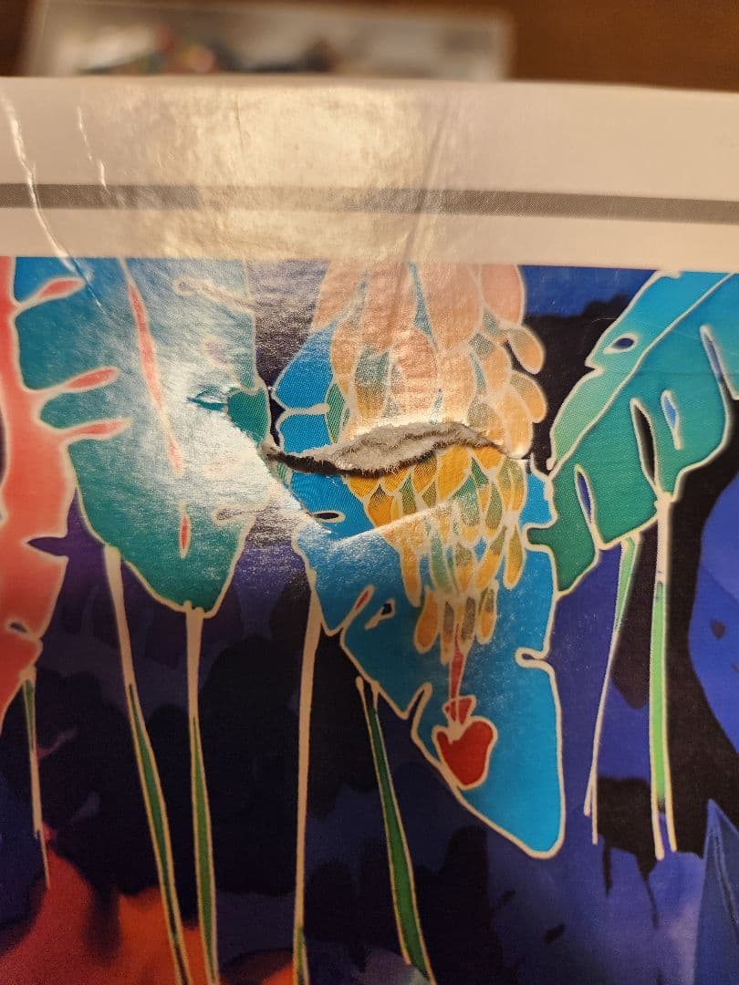 ジグソーパズル 2000ピース ジェニファーマークス トロピカルハーベスト