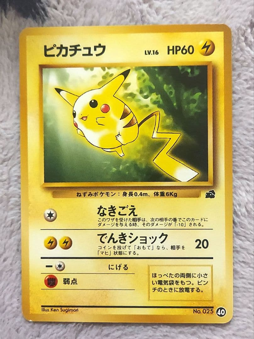 良品　旧裏　ピカチュウ イントロパックneo（フシギダネマーク）