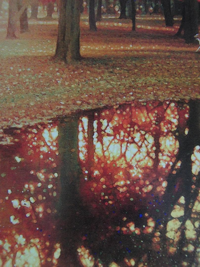 山地司、【Minamo-1】、希少な額装用画集より、状態良好、新品額装付