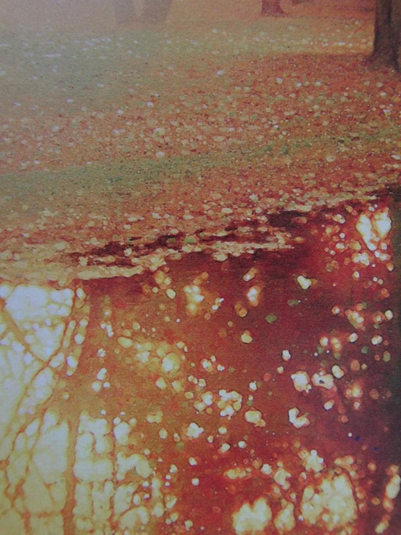 山地司、【Minamo-1】、希少な額装用画集より、状態良好、新品額装付