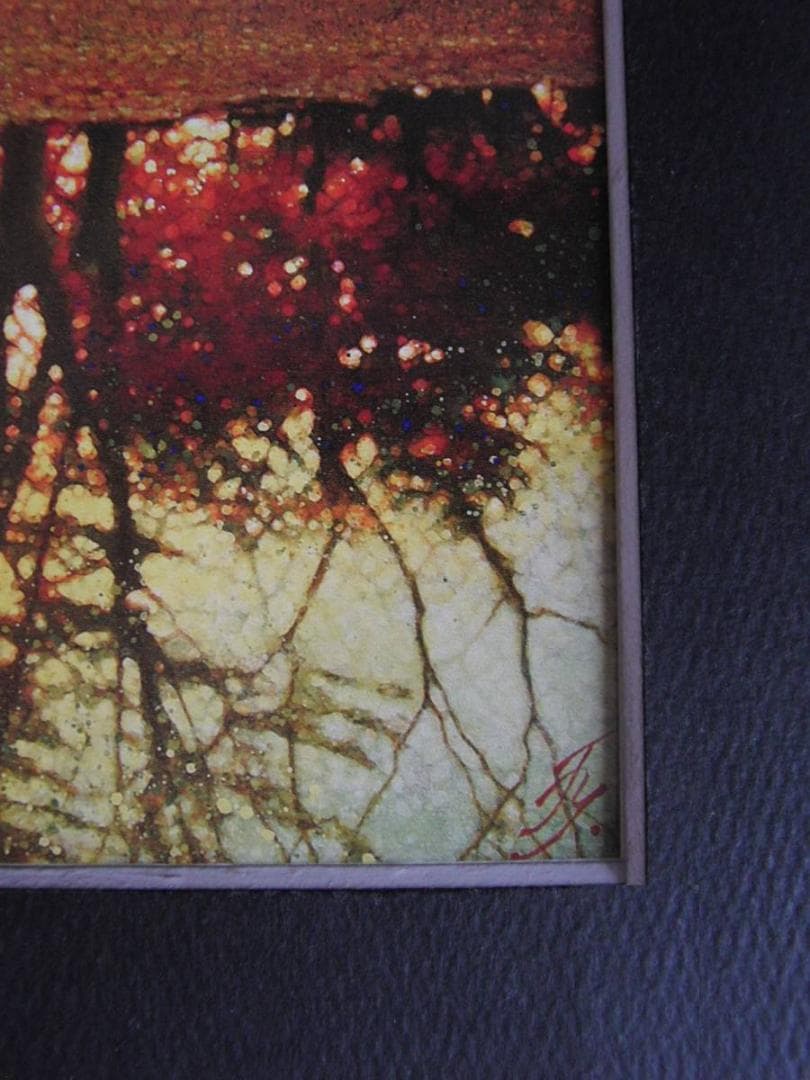 山地司、【Minamo-1】、希少な額装用画集より、状態良好、新品額装付