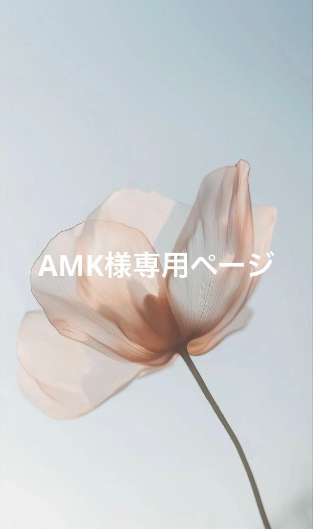 AMKページ