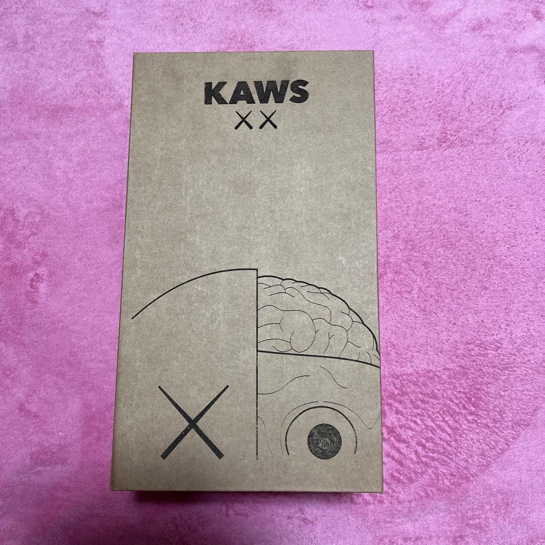 KAWS コンパニオン　カリモク