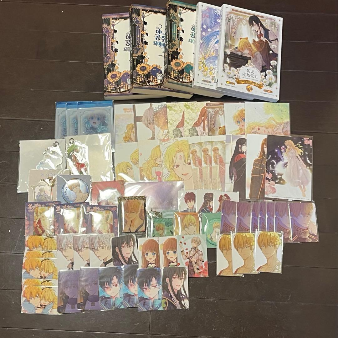 ある姫 ある日、お姫様になってしまった件について まとめ売り