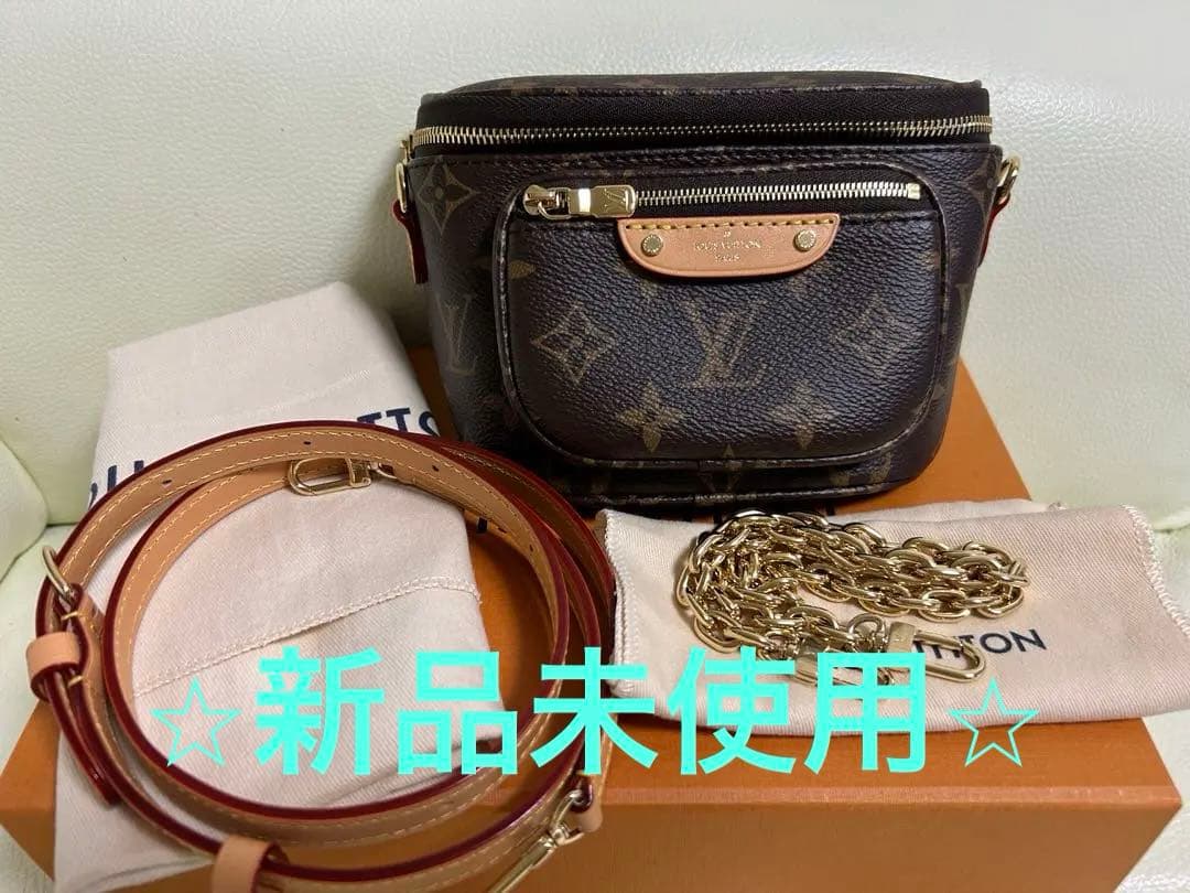 新品未使用⭐︎LOUIS VUITTON⭐︎ モノグラムミニバムバッグ Mini Bumbag LV Monogram Small Fanny Pack | LOUIS VUITTON ®