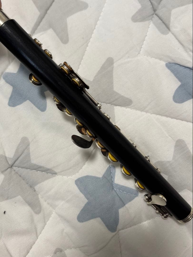 Moonlit＆ 様専用☆YAMAHA ピッコロ YPC-82 ケース - メルカリ