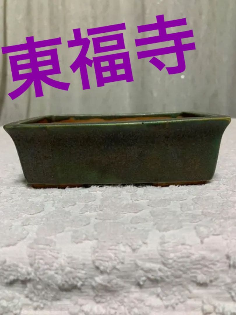 盆栽鉢　東福寺 東福寺瑠璃釉窯変長方鉢 | 盆栽、盆栽書籍、盆栽鉢の通販│近代出版