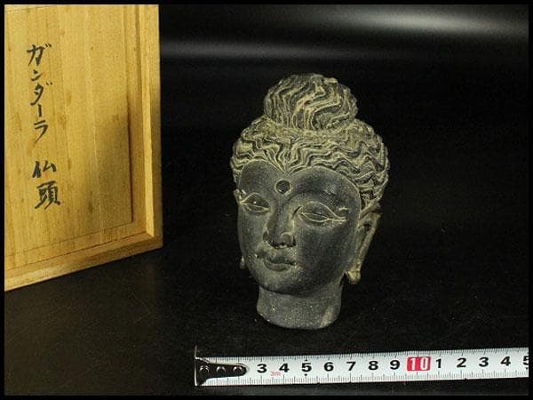 仏教美術 ガンダーラ仏頭(K-XA903) 四方堂 - ガンダーラ 仏頭 | 古美術品専門サイト fufufufu.com
