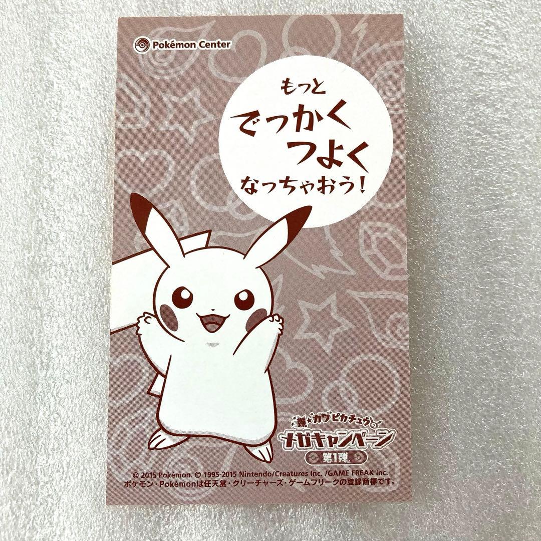 ポケモンセンター ポンチョを着たピカチュウ 名刺カード メガ