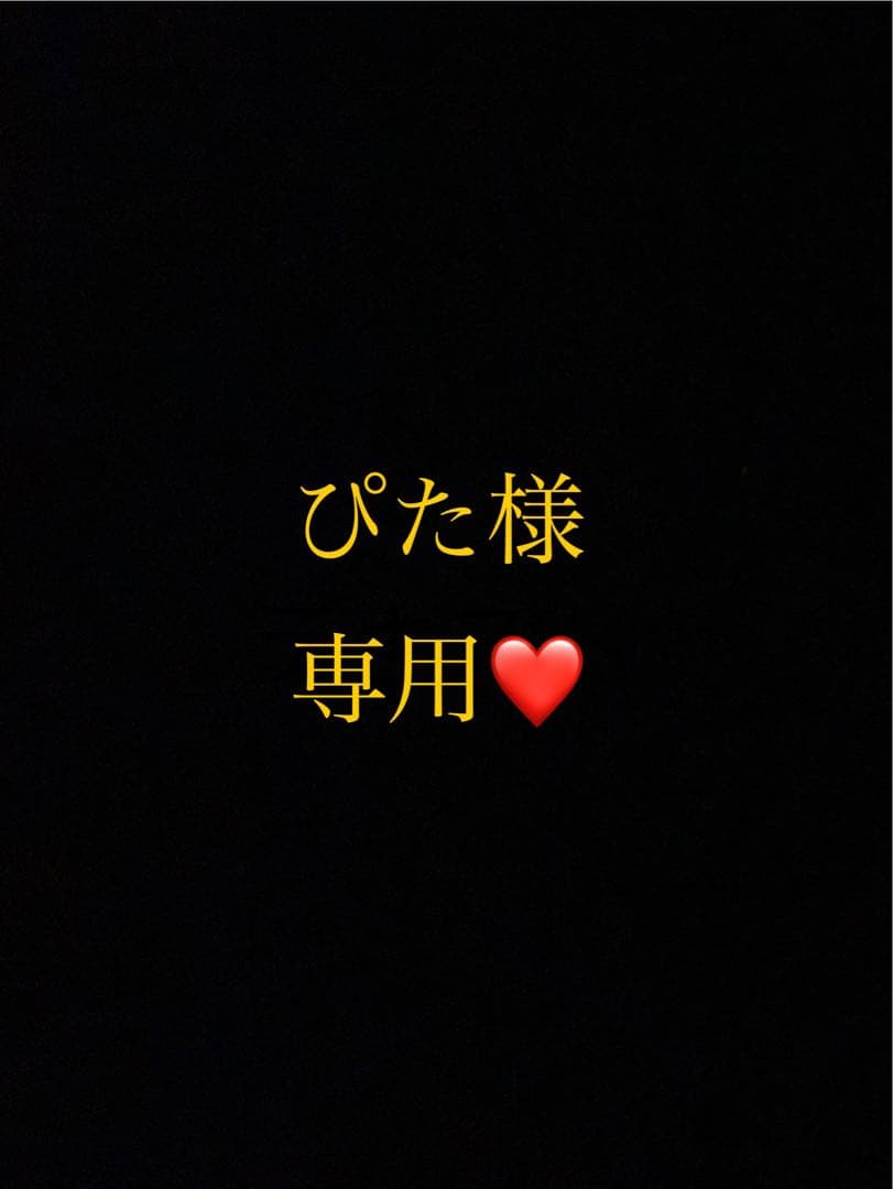 ぴた様 リクエスト 2点 まとめ商品