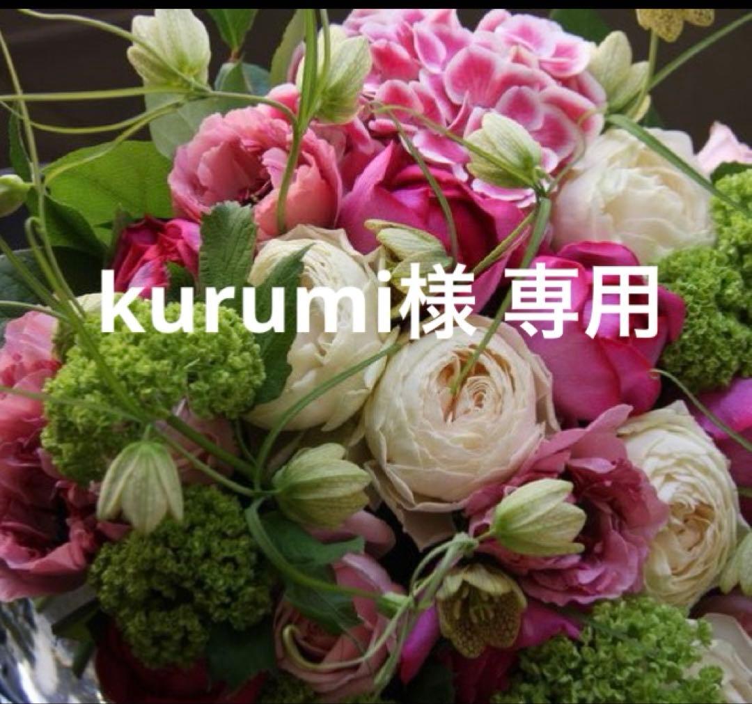 サルート B75/M 3点セット 74G VI ベルサイユのばら コラボ ワコール/サルート/Tバックショーツ/ソング/『ベルサイユのばら