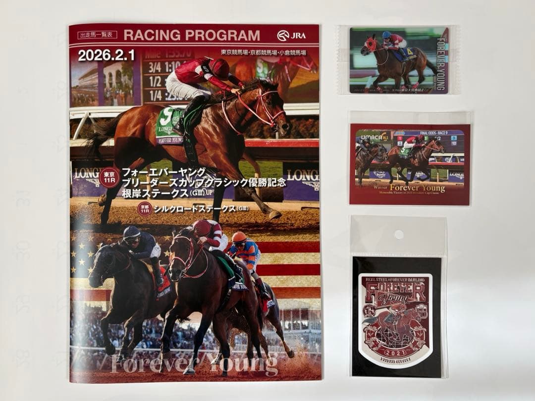 JRA フォーエバーヤング UMACAカード用 着せ替えステッカー 他 - メルカリ