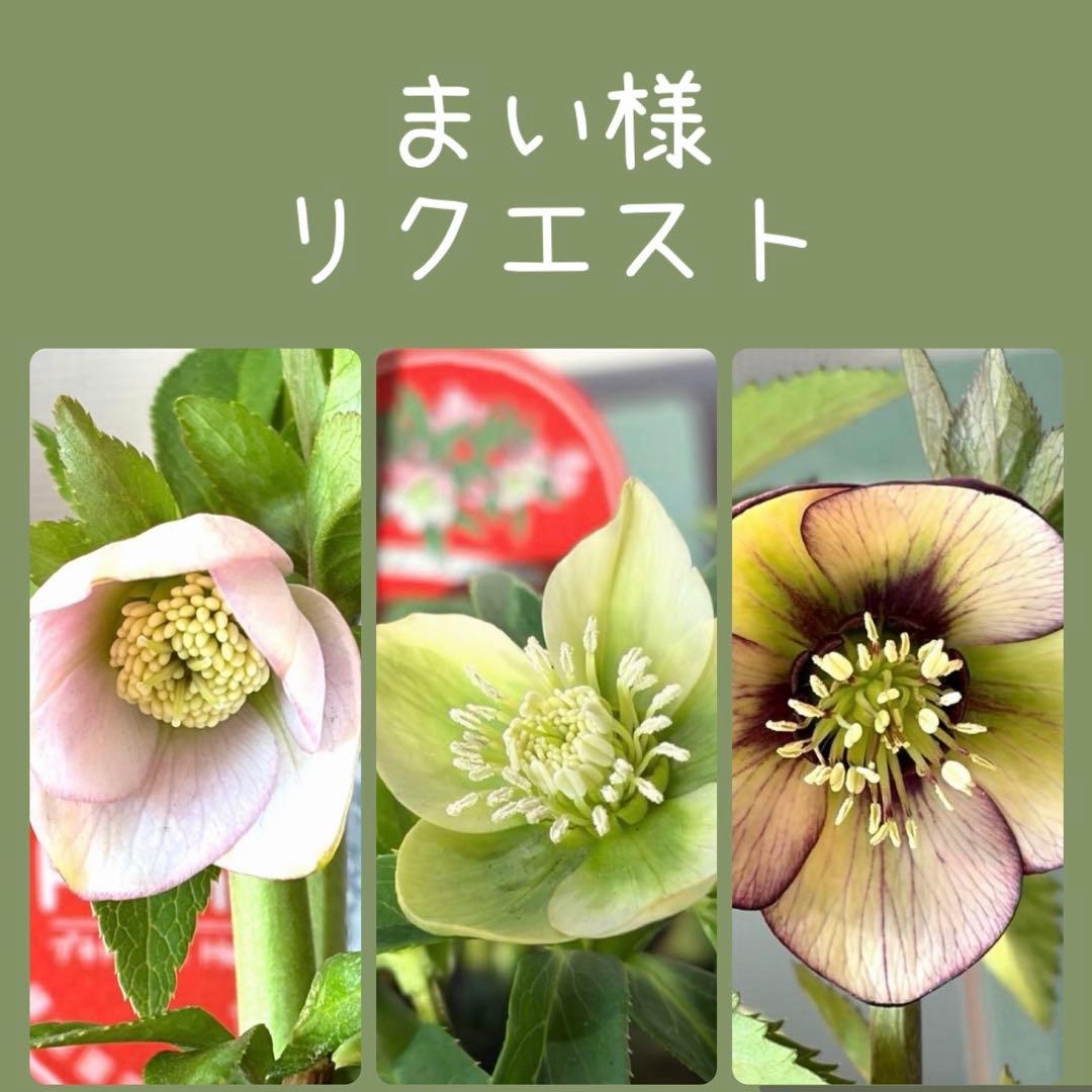 まい様　リクエスト　おまとめ3点