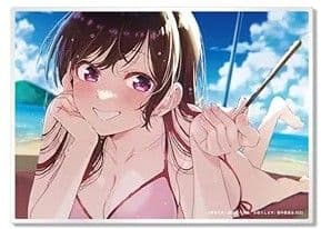 ブルーレイ初回特典描き下ろしアクリルプレート水原千鶴 水着 特典3千円分付き Amazon.co.jp: 彼女、お借りします 第3期 描き下ろしクリアファイル