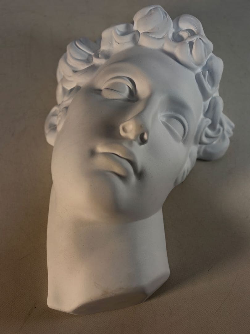 石膏像　メディチ　デッサン　半面像　美術　絵画　オブジェ　彫刻　アート 石膏像 メディチ デッサン 半面像 美術 絵画 オブジェ 彫刻 アート