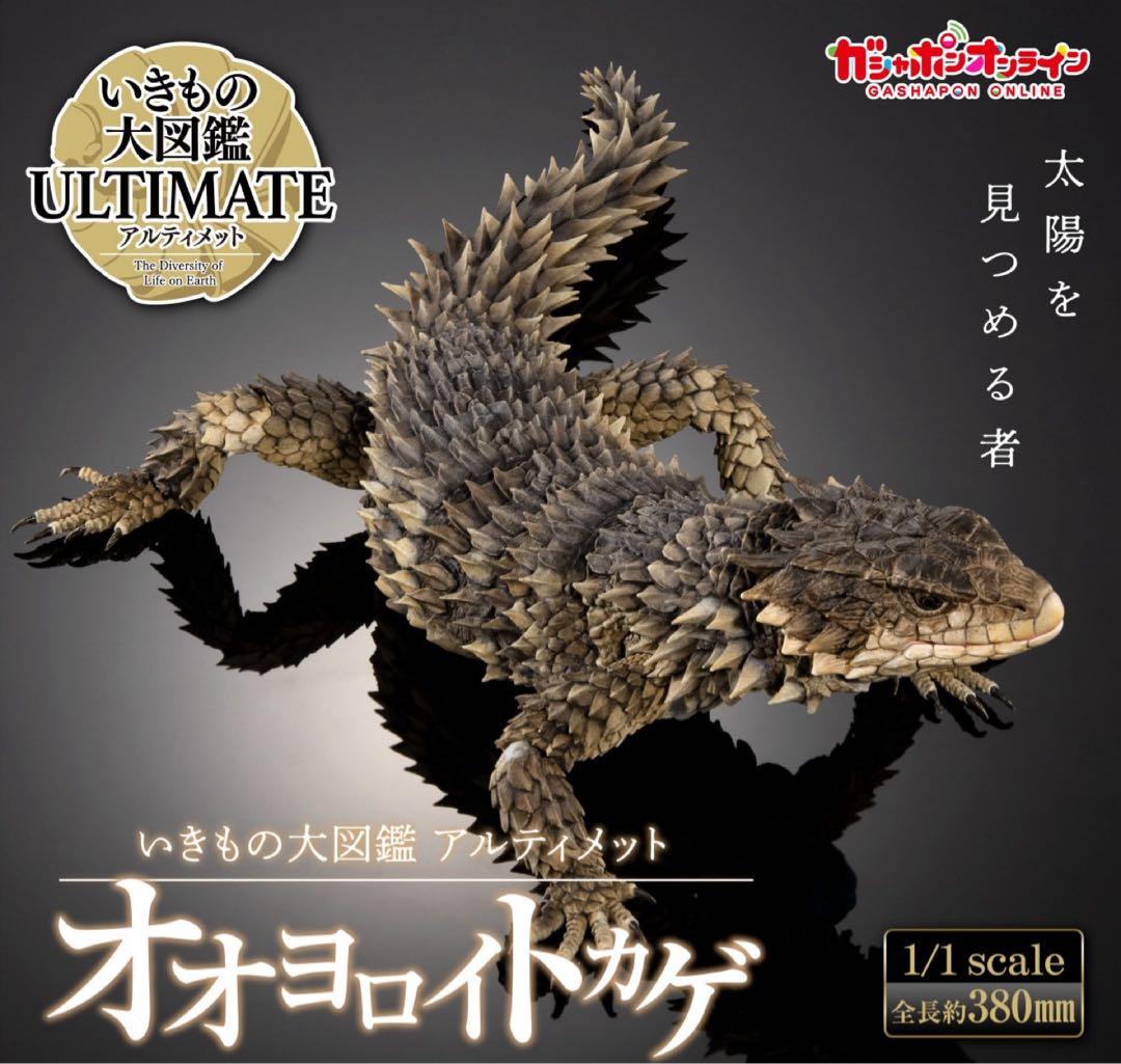 いきもの大図鑑アルティメット オオヨロイトカゲ 新品未開封 ④