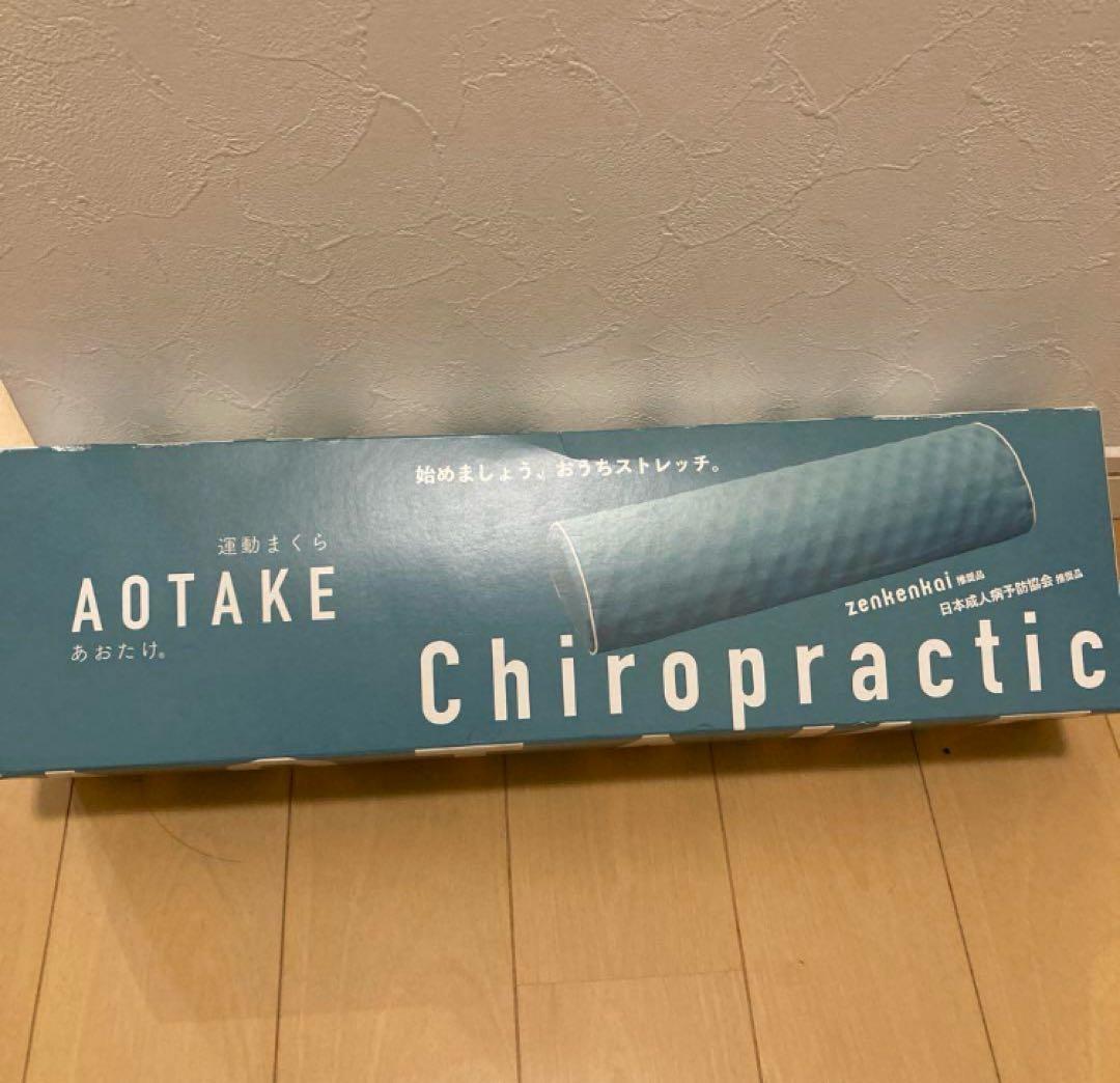 あおたけ運動枕　新品 運動まくら AOTAKE(あおたけ) | momoi's STORE