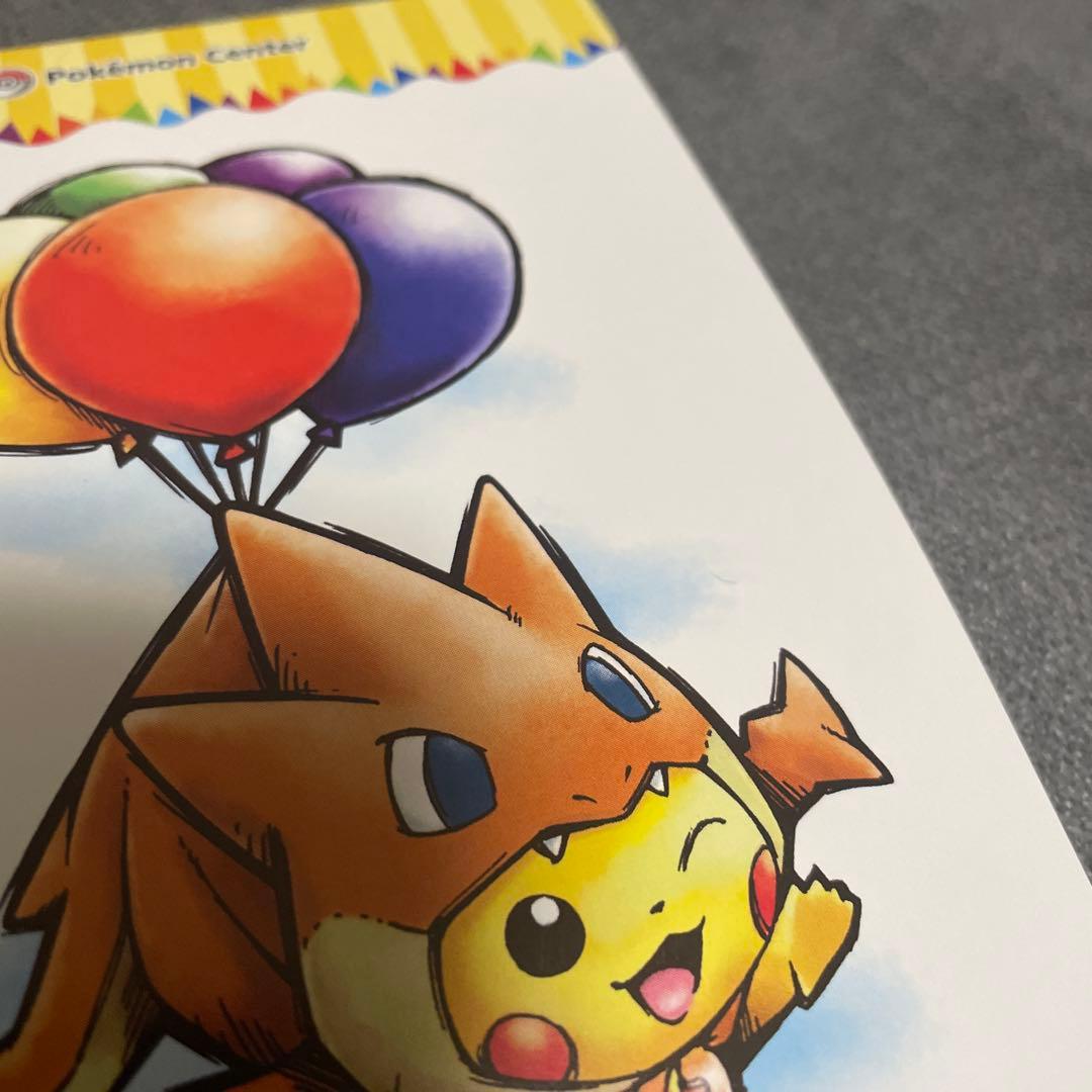 メガリザードンYのポンチョに身を包んだピカチュウ ポストカード 2枚