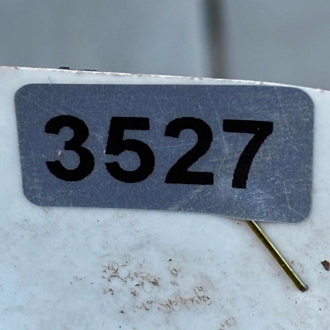 o*r様 527☘️蕾花タグ付☘️超レア☘️BELCHERI⭐️PINK ICE