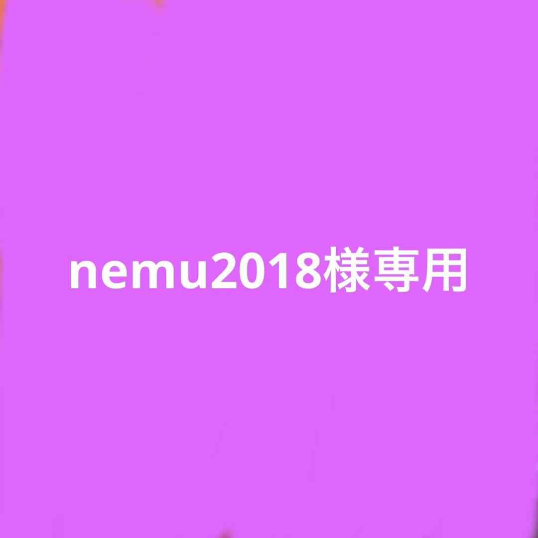 その他 nemu2018