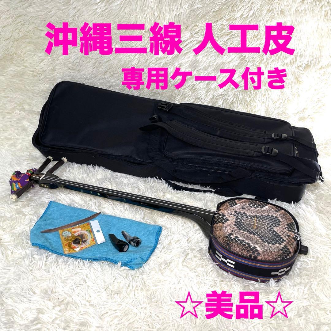 【美品】沖縄三線 人工皮 初心者向け 専用ケース付き