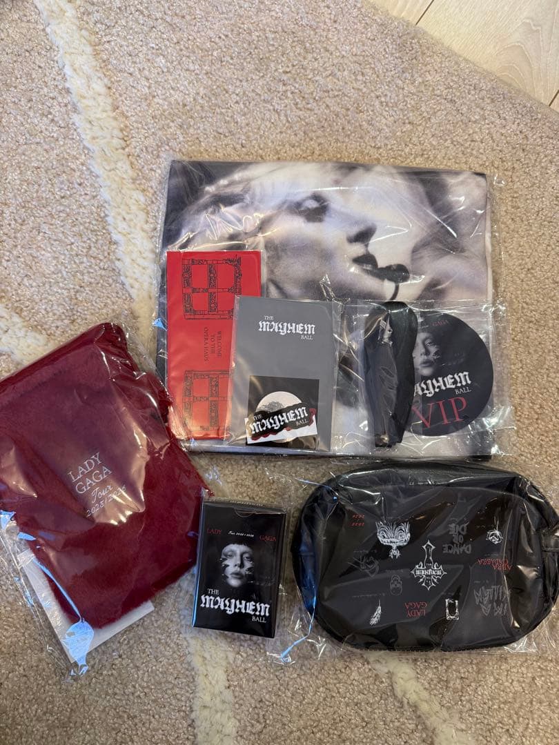 レディーガガ　ライブ　The Mayhem Ball 2026VIP GOLD