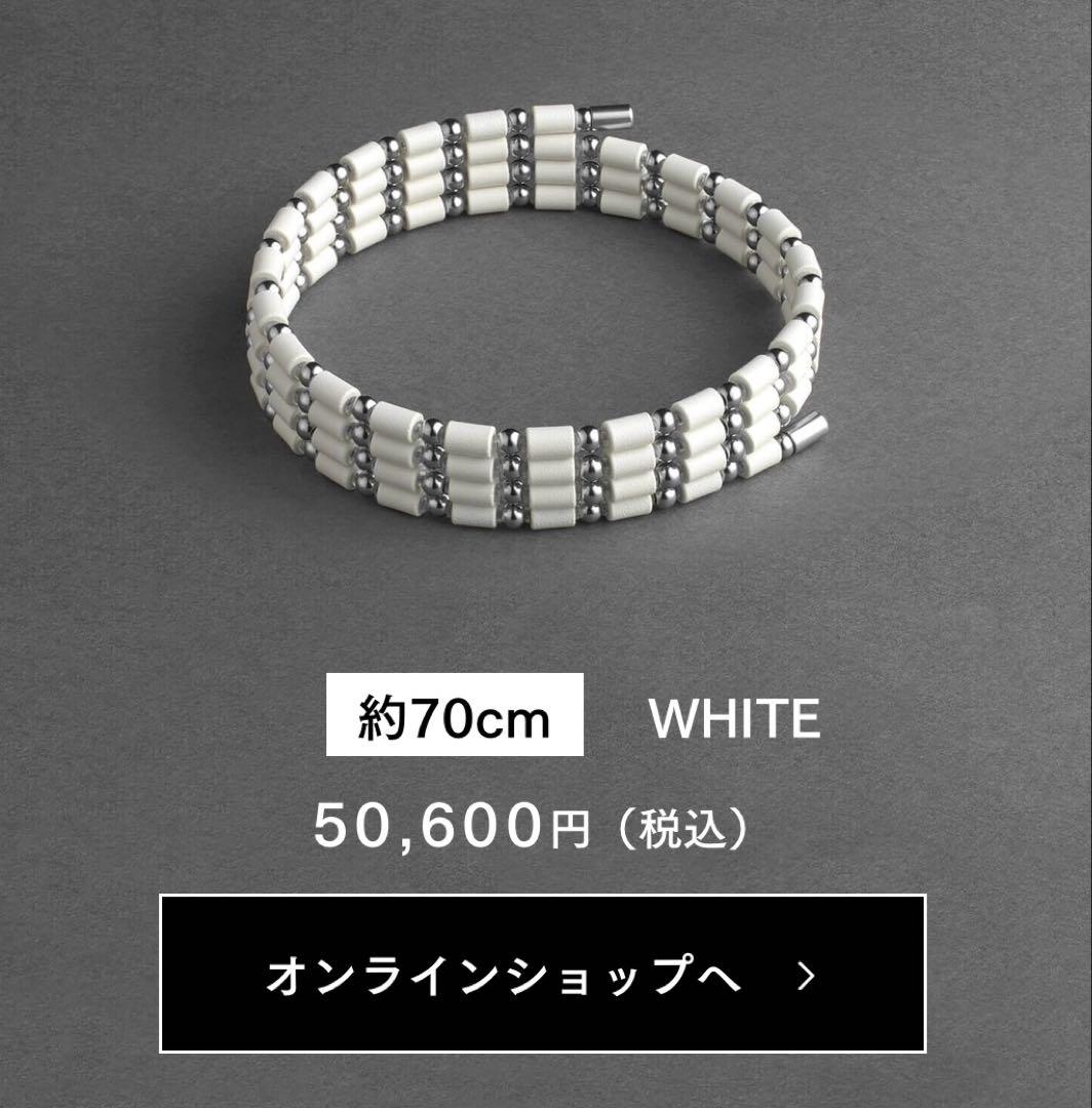 水城コアフォースループ SUS ホワイト CFL70