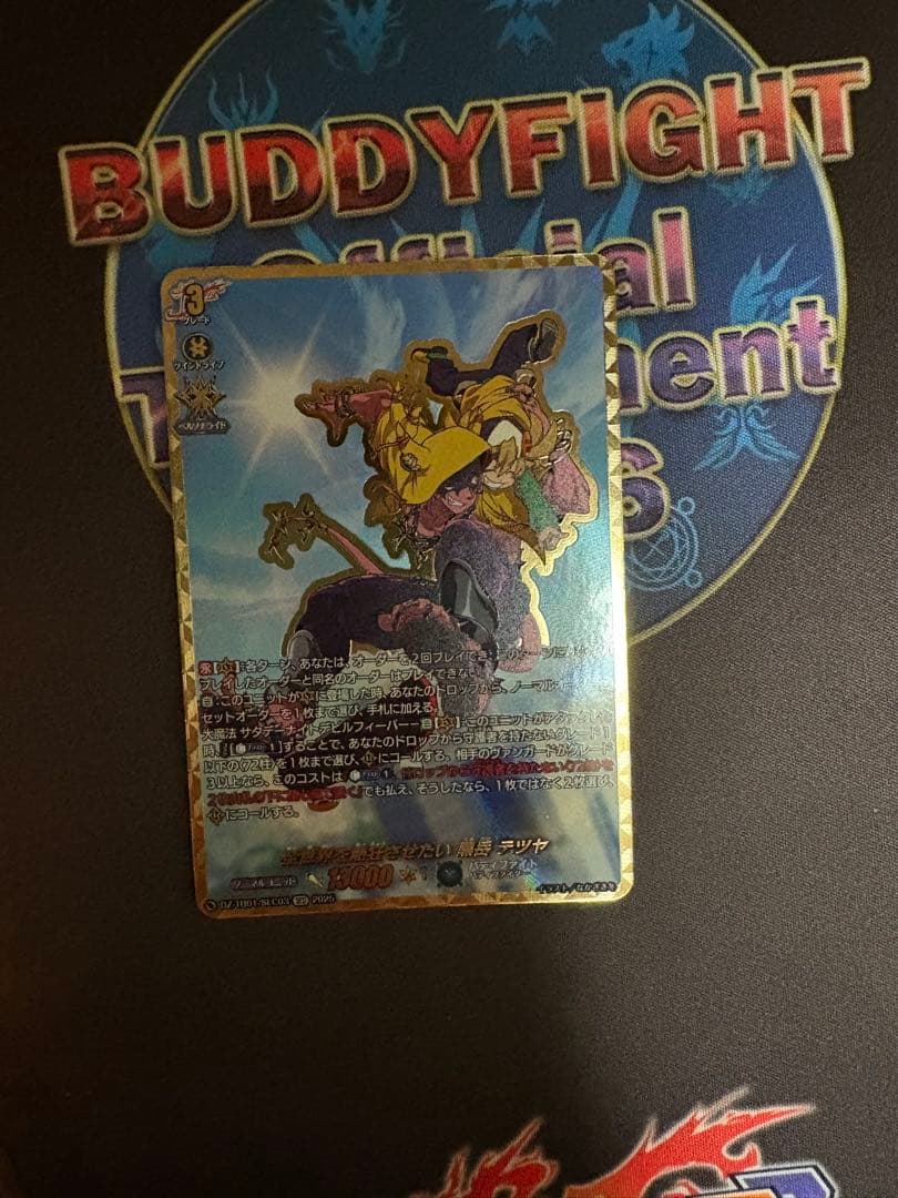 バディファイト　ヴァンガード　テツヤ 全世界を熱狂させたい黒岳テツヤ【SEC】{DZ-TB01/SEC03}《バディ