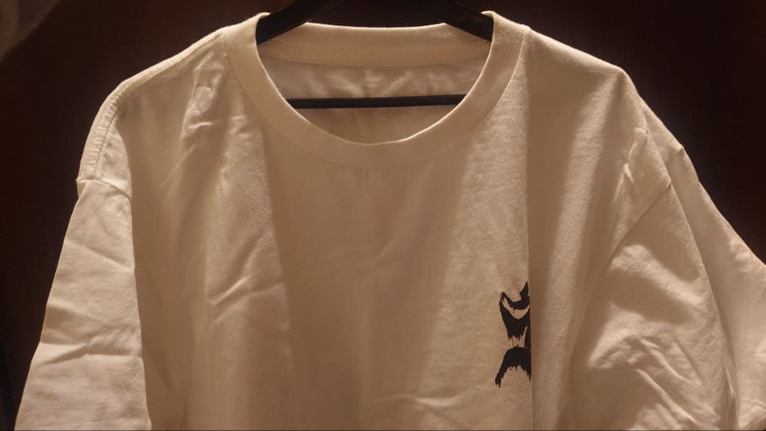 真天地開闢集団ジグザグ 参拝装束/定番2023/Tシャツ/白/XXL - メルカリ