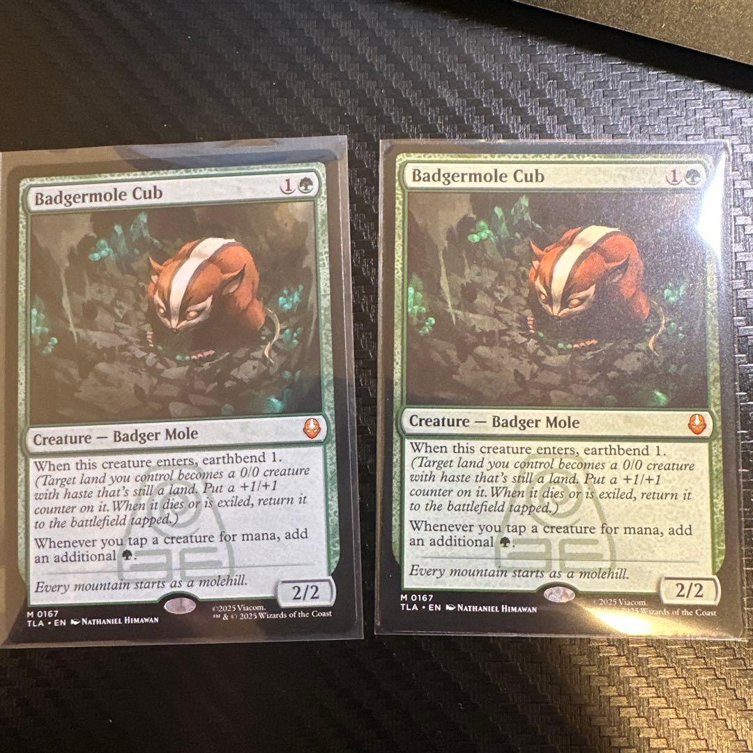 MTG アナグマモグラの仔 英語　2枚セット