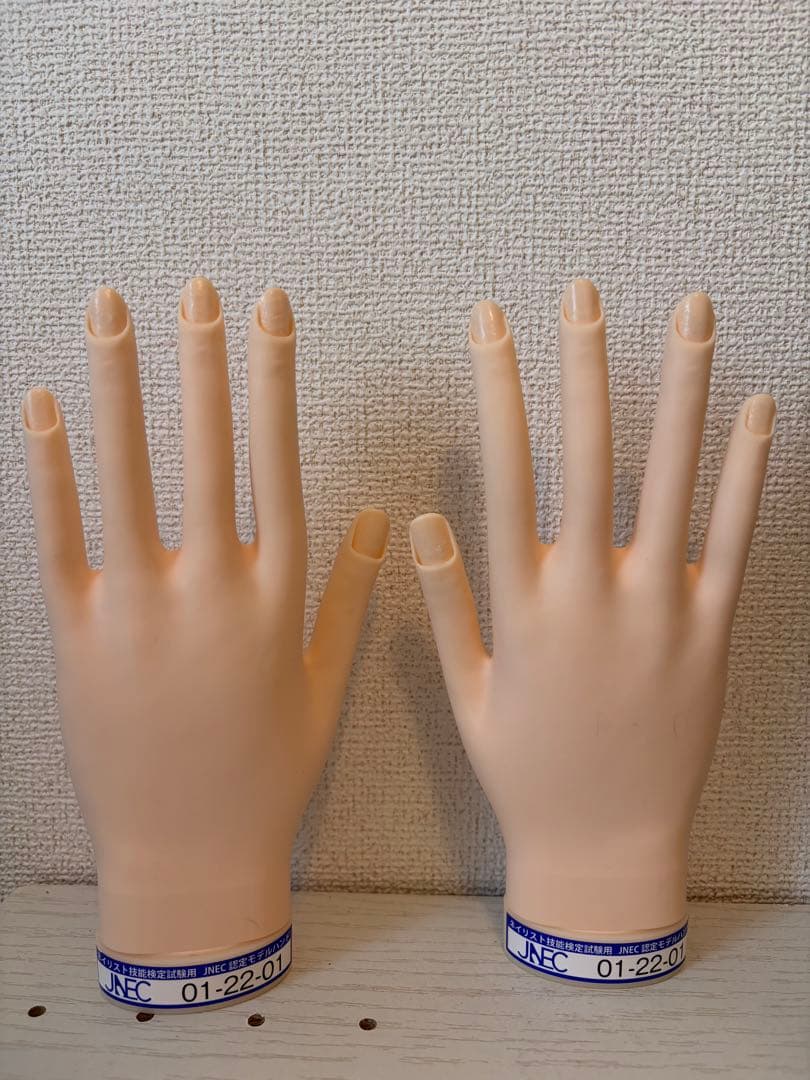 JENC ネイルモデルハンド