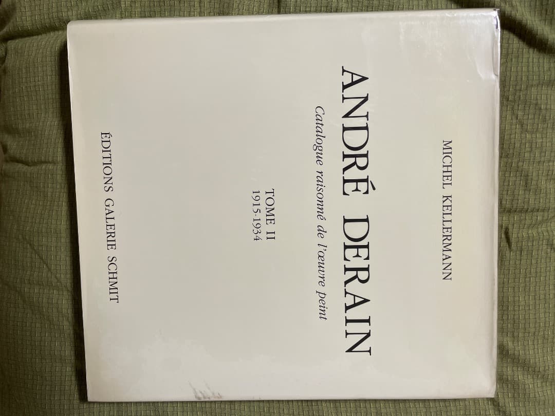 アンドレ ドラン 図録 図録 ドラン展 フォービズムの巨星 Andre Derain 1981年 - メルカリ