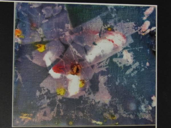 崔和傳、AGUR 6、希少画集画、新品額装付、状態良好