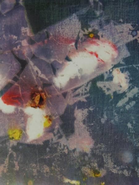 崔和傳、AGUR 6、希少画集画、新品額装付、状態良好