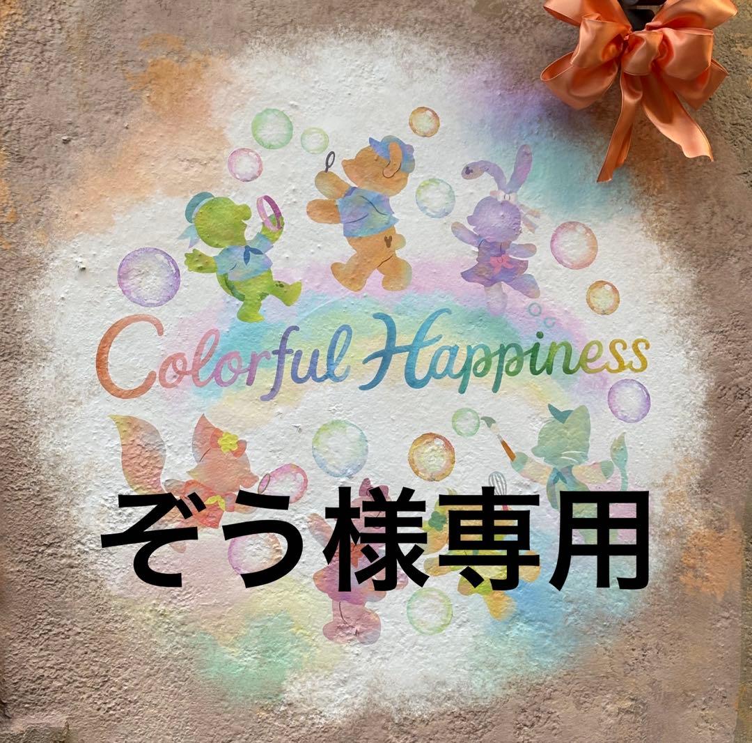 ぞう　送料込みにて価格変動あり