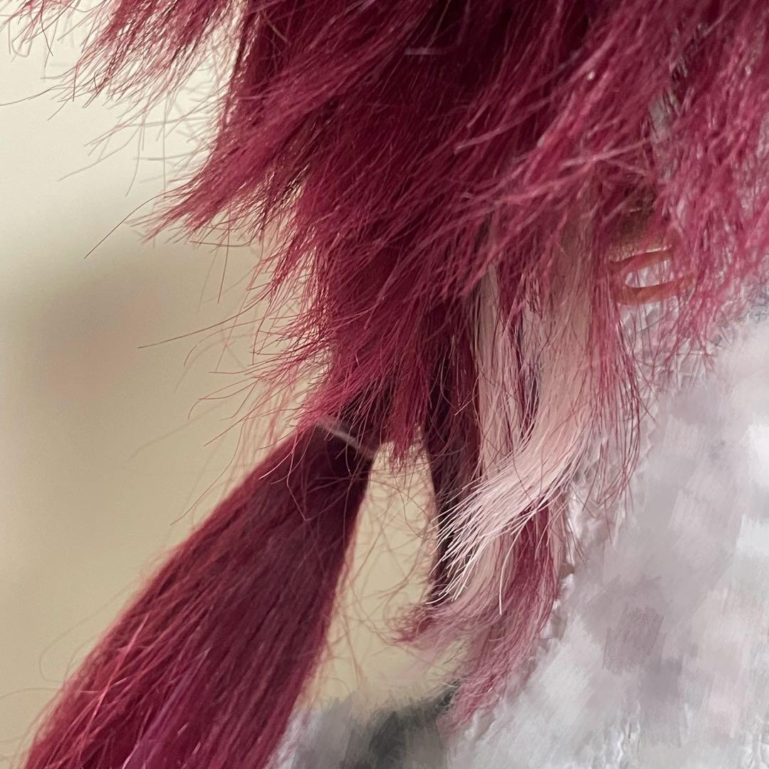 ローレン・イロアス にじさんじ コスプレ ウィッグ - メルカリ