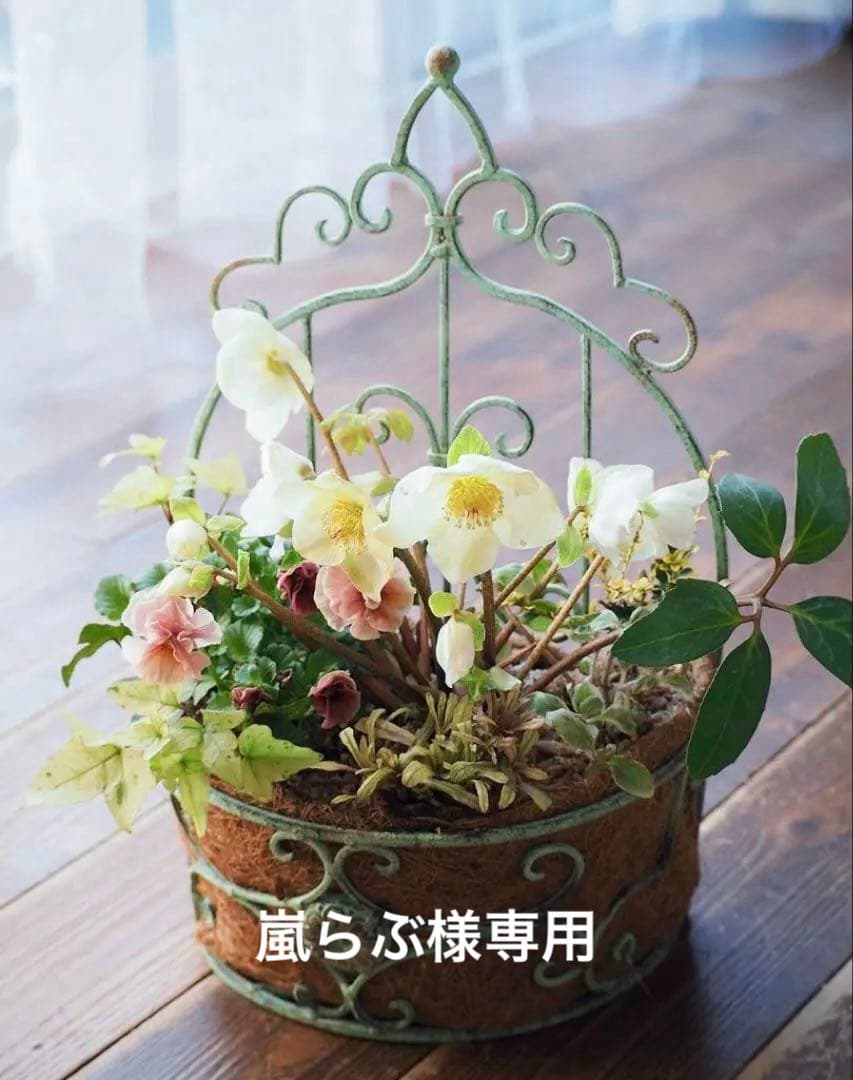 シャビーナチュラルなクリスマスローズ寄せ植え