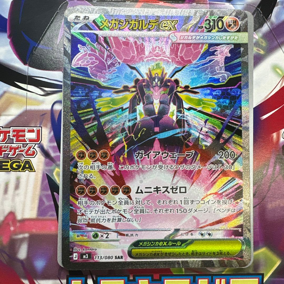 ジガルデSAR オマケ付き