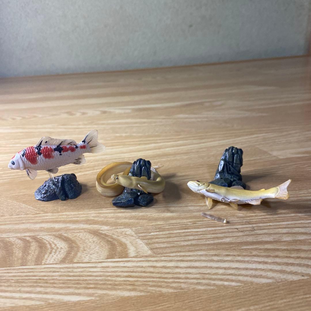 【中古】YUJIN 原色淡水魚図鑑　イワナ ウナギ　大正三色