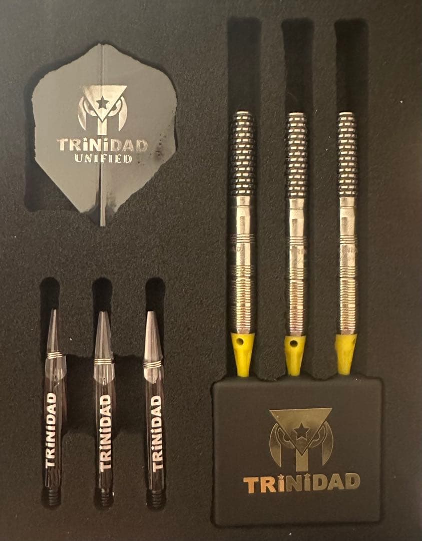 ヒューゴリョン選手モデル ダーツ バレル ダーツ バレル TRiNiDAD PRO HUGO Hugo Leung 選手モデル トリニダード