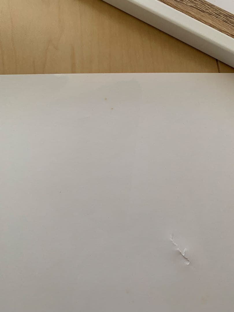 高橋留美子 犬夜叉 かごめ 複製原画 レア 先着プレゼント 100名 非売品