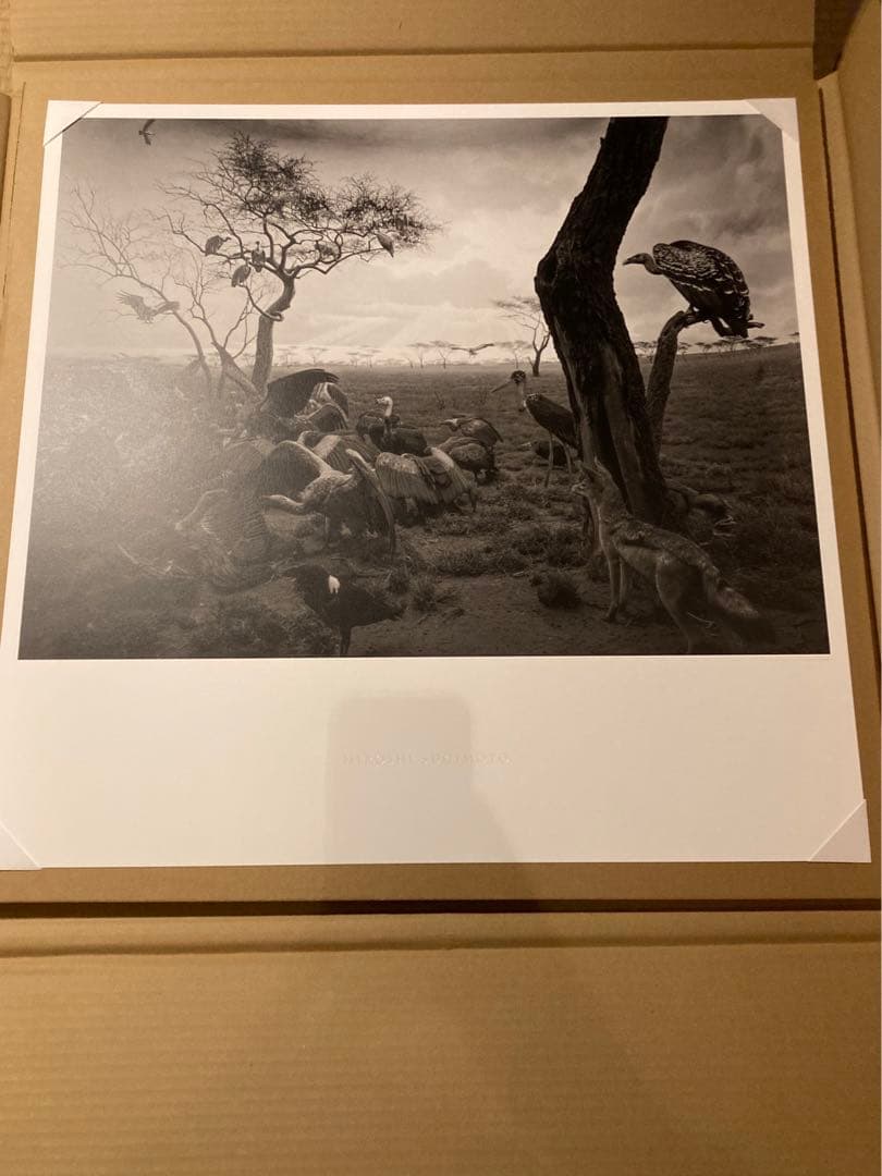 杉本博司 ポスター Hyena-Jackal-Vulture - メルカリ