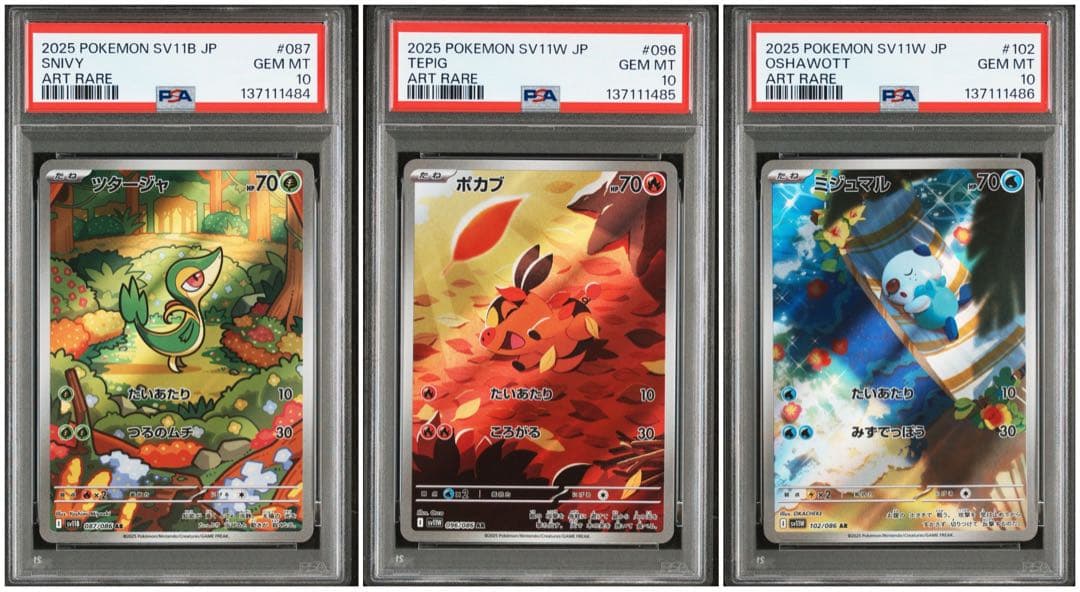 【PSA10】【３連番】御三家ツタージャ　ポカブ　ミジュマル　AR 25-07-339)【PSA10】ミジュマル ポカブ ツタージャAR3連番 - メルカリ