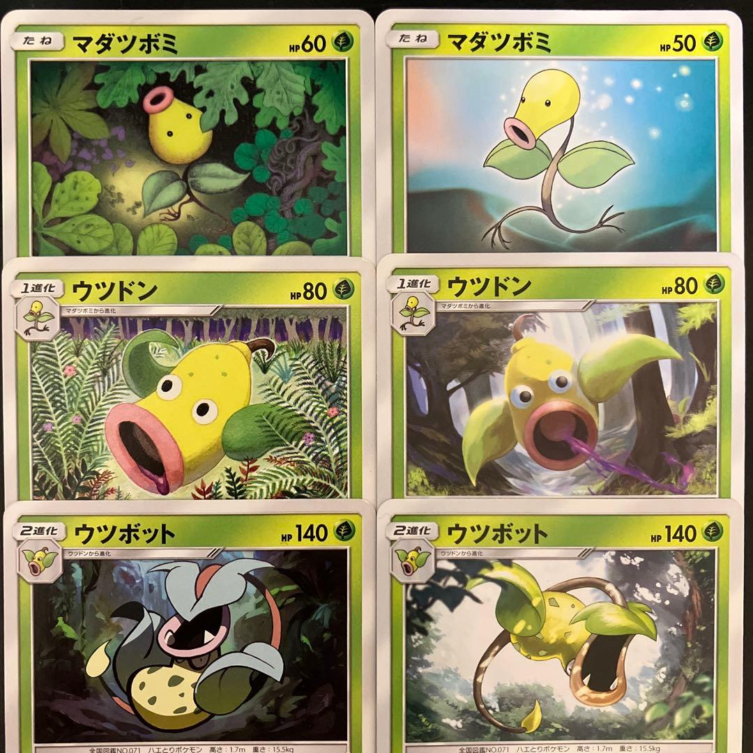 マダツボミ ウツドン ウツボット 6枚セット - メルカリ