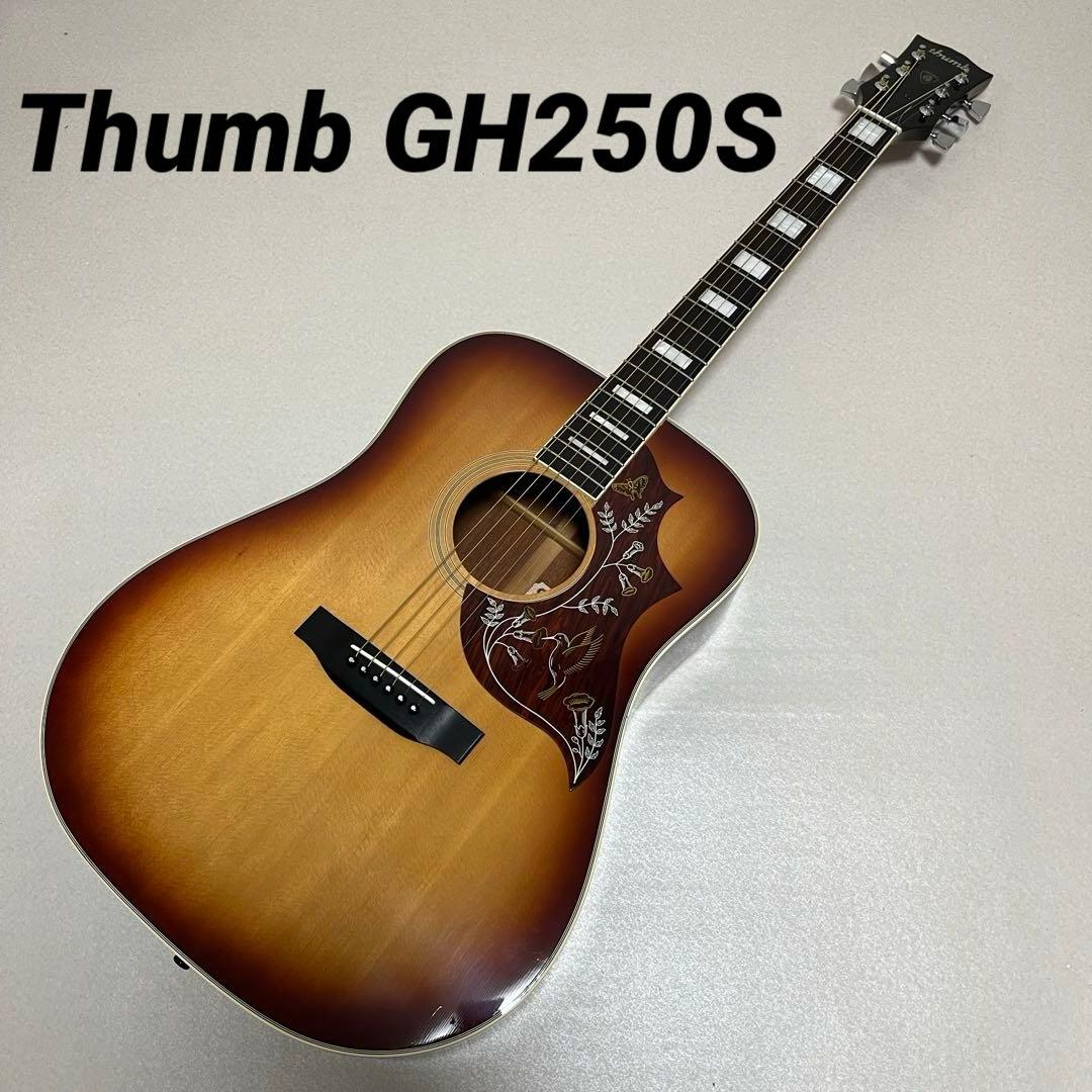 Thumb GH250S 寺田楽器 TERADA ハミングバード アコギ Thumb GH250S 寺田楽器 TERADA ハミングバード アコギ - メルカリ