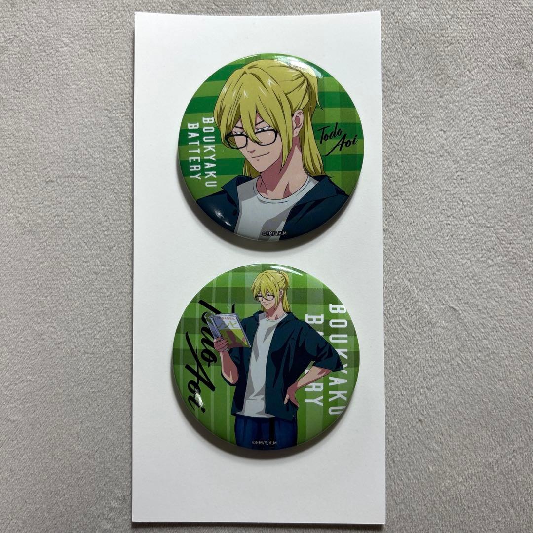 忘却バッテリー くじラック 藤堂葵 J賞 缶バッジ2個セット めがね 読書