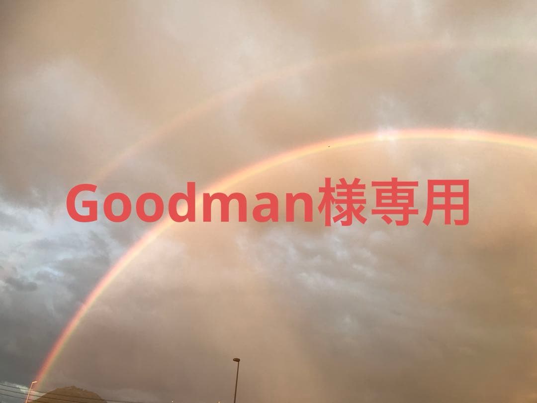 Goodmanページ