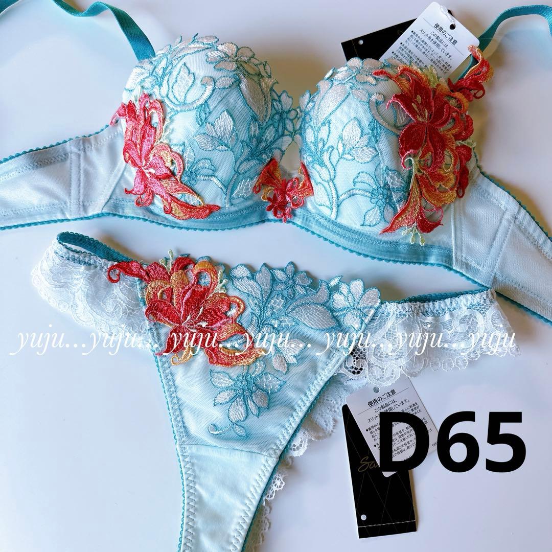 ワコール/サルート 53G 新品タグ付 P-upブラソング D65