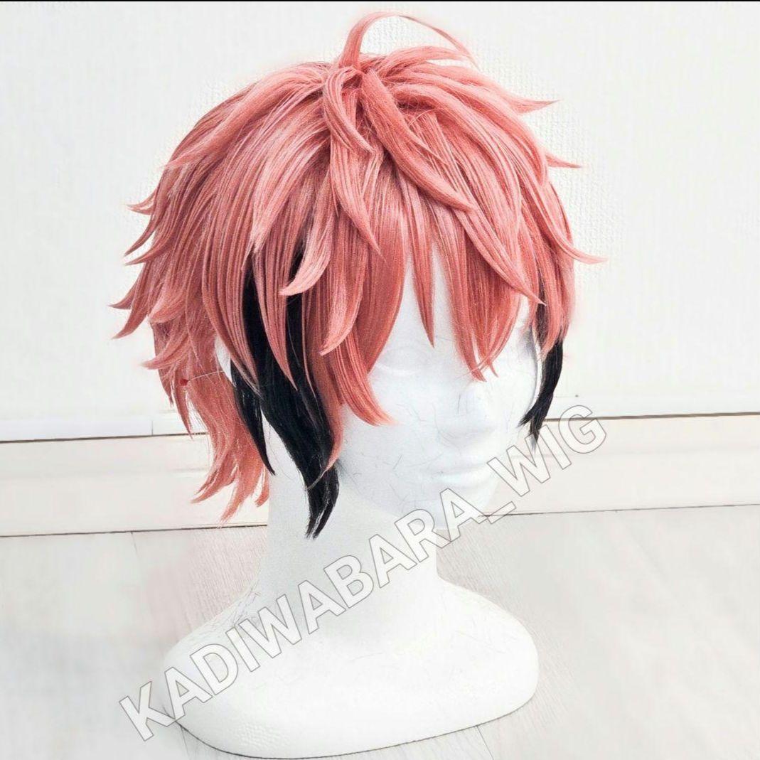 にじさんじ 赤城ウェン コスプレ衣装 ウィッグ - メルカリ